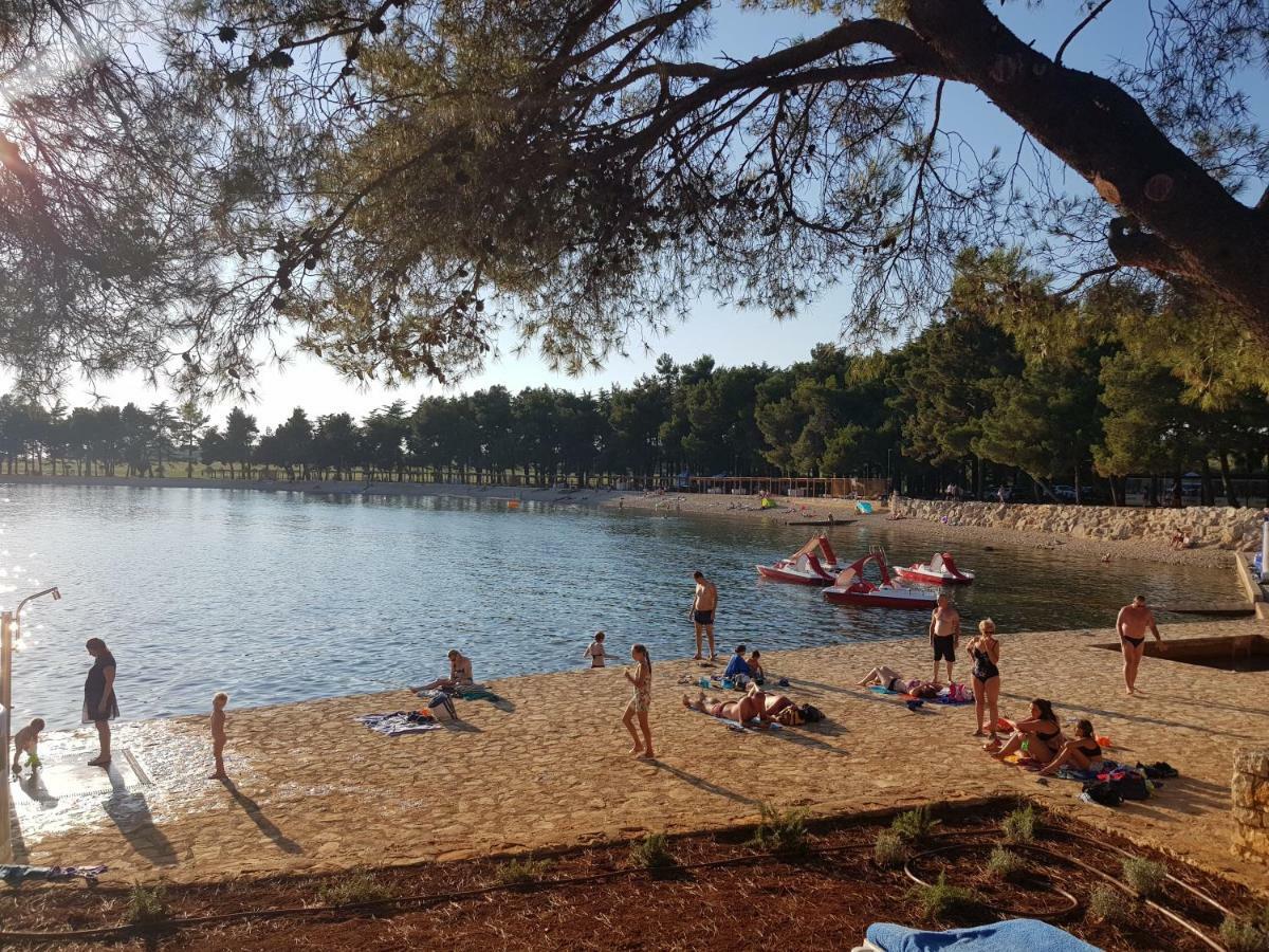 App Mirjana Novigrad (Istria)
